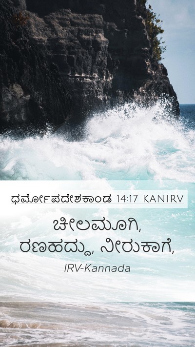 ಧರ್ಮೋಪದೇಶಕಾಂಡ 14:17 KANIRV Mobile Phone Wallpaper - ಚೀಲಮೂಗಿ, ರಣಹದ್ದು, - Mobile Bible Verse Wallpaper