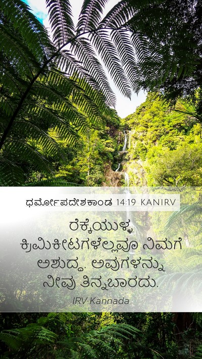ಧರ್ಮೋಪದೇಶಕಾಂಡ 14:19 KANIRV Bible Verse Image