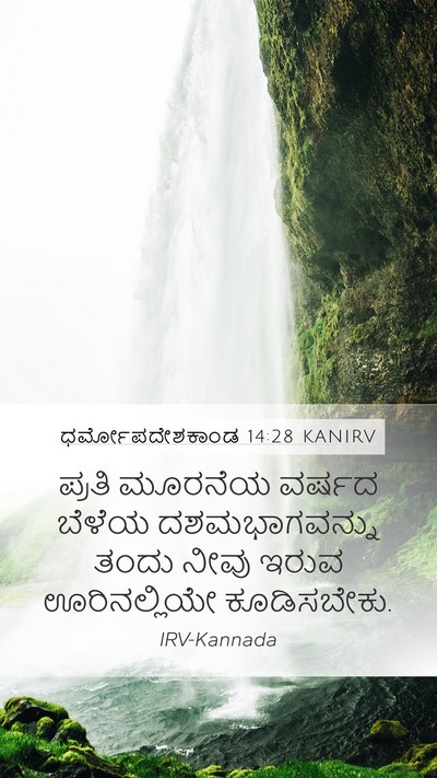ಧರ್ಮೋಪದೇಶಕಾಂಡ 14:28 KANIRV Bible Verse Image