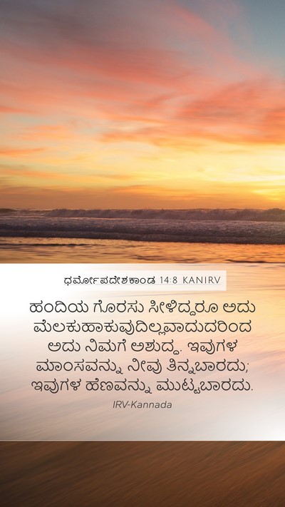 ಧರ್ಮೋಪದೇಶಕಾಂಡ 14:8 KANIRV Bible Verse Image