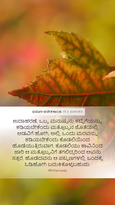 ಧರ್ಮೋಪದೇಶಕಾಂಡ 19:5 KANIRV Bible Verse Image