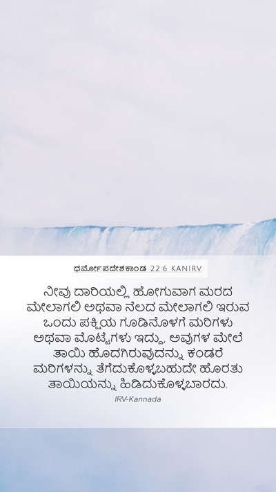 ಧರ್ಮೋಪದೇಶಕಾಂಡ 22:6 KANIRV Mobile Phone Wallpaper - ನೀವು ದಾರಿಯಲ್ಲಿ - Mobile Bible Verse Wallpaper