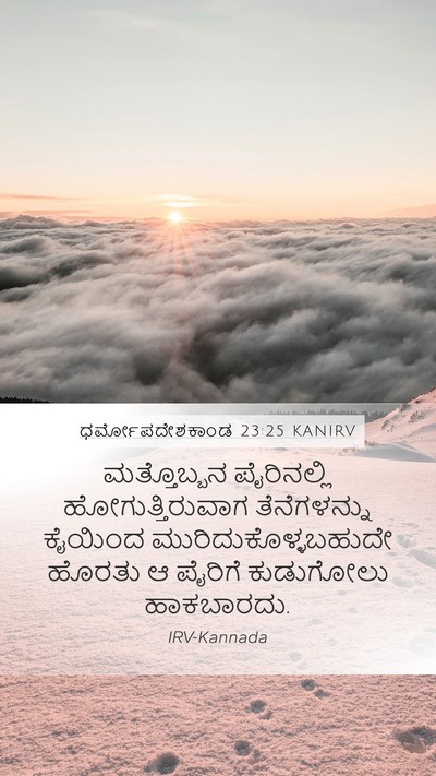 ಧರ್ಮೋಪದೇಶಕಾಂಡ 23:25 KANIRV Bible Verse Image