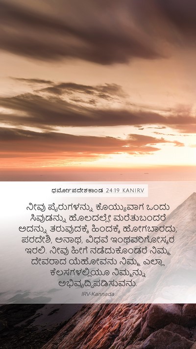 ಧರ್ಮೋಪದೇಶಕಾಂಡ 24:19 KANIRV Bible Verse Image