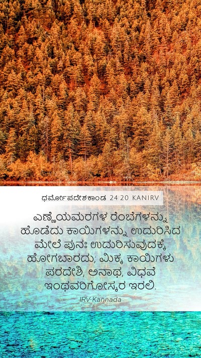 ಧರ್ಮೋಪದೇಶಕಾಂಡ 24:20 KANIRV Mobile Phone Wallpaper - ಎಣ್ಣೆಯಮರಗಳ - Mobile Bible Verse Wallpaper