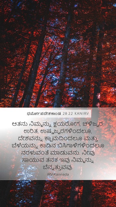 ಧರ್ಮೋಪದೇಶಕಾಂಡ 28:22 KANIRV Bible Verse Image