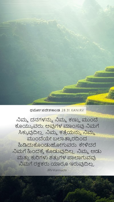 ಧರ್ಮೋಪದೇಶಕಾಂಡ 28:31 KANIRV Bible Verse Image