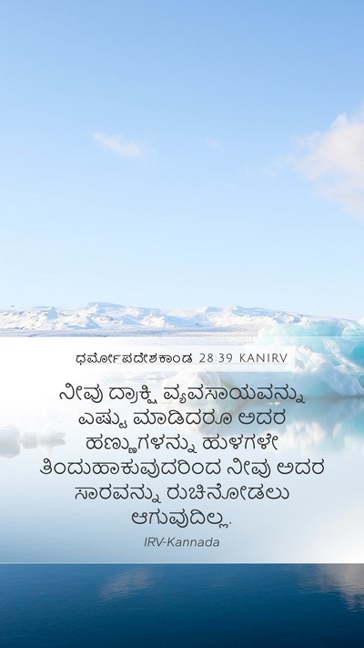 ಧರ್ಮೋಪದೇಶಕಾಂಡ 28:39 KANIRV Bible Verse Image