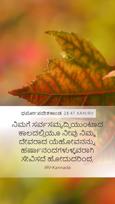 ಧರ್ಮೋಪದೇಶಕಾಂಡ 28:47 KANIRV Bible Verse Image