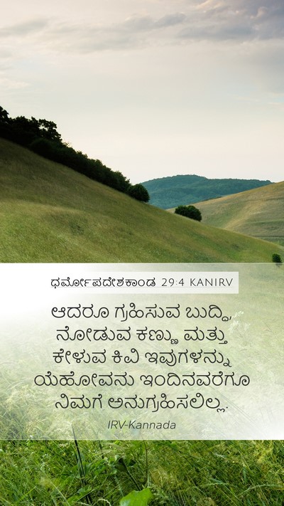 ಧರ್ಮೋಪದೇಶಕಾಂಡ 29:4 KANIRV Bible Verse Image