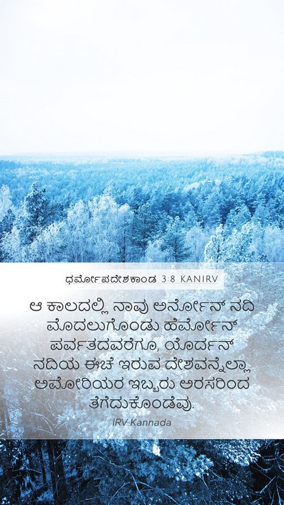 ಧರ್ಮೋಪದೇಶಕಾಂಡ 3:8 KANIRV Bible Verse Image