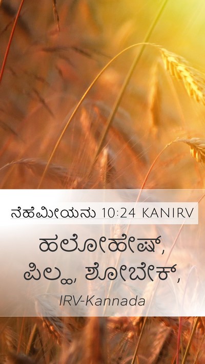 ನೆಹೆಮೀಯನು 10:24 KANIRV Mobile Phone Wallpaper - ಹಲೋಹೇಷ್, ಪಿಲ್ಹ, - Mobile Bible Verse Wallpaper