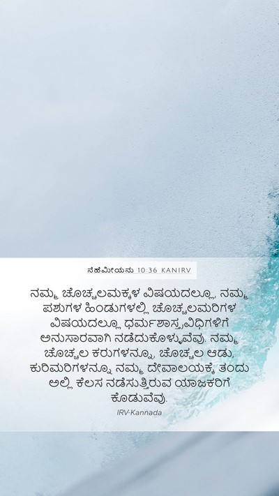 ನೆಹೆಮೀಯನು 10:36 KANIRV Mobile Phone Wallpaper - ನಮ್ಮ ಚೊಚ್ಚಲಮಕ್ಕಳ - Mobile Bible Verse Wallpaper