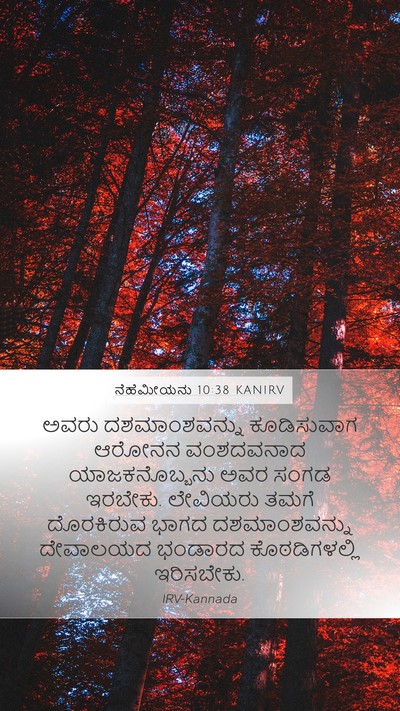 ನೆಹೆಮೀಯನು 10:38 KANIRV Bible Verse Image