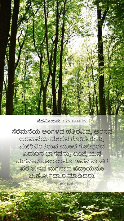 ನೆಹೆಮೀಯನು 3:25 KANIRV Bible Verse Image