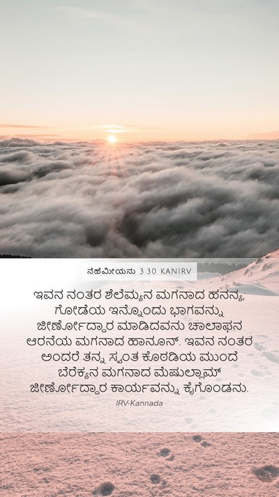 ನೆಹೆಮೀಯನು 3:30 KANIRV Bible Verse Image