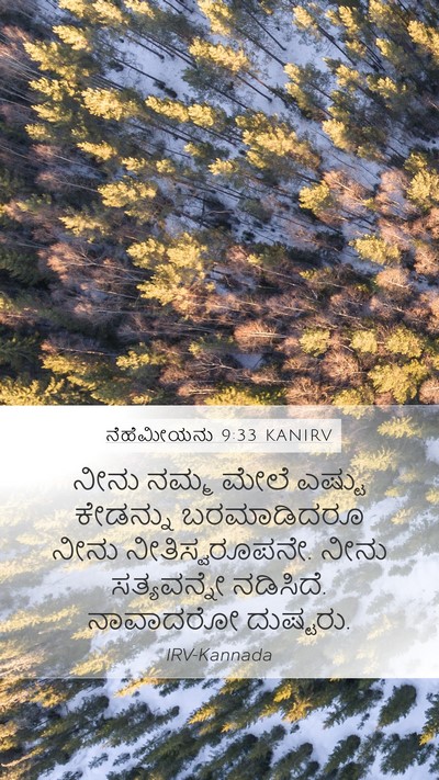 ನೆಹೆಮೀಯನು 9:33 KANIRV Bible Verse Image