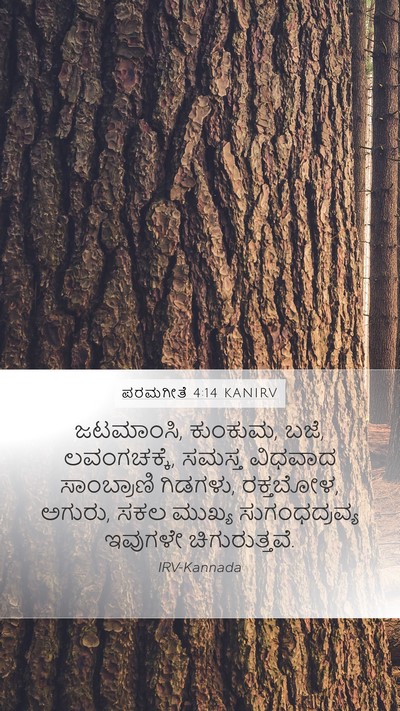 ಪರಮಗೀತೆ 4:14 KANIRV Bible Verse Image