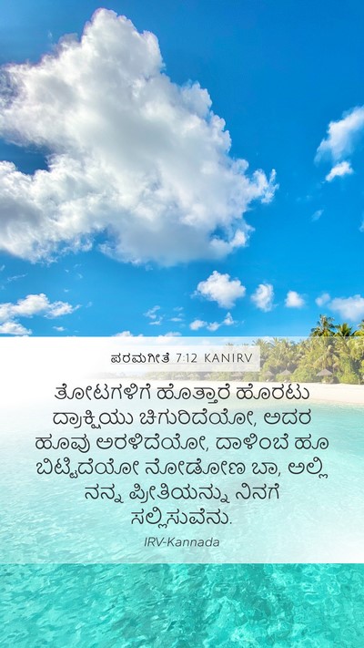 ಪರಮಗೀತೆ 7:12 KANIRV Bible Verse Image