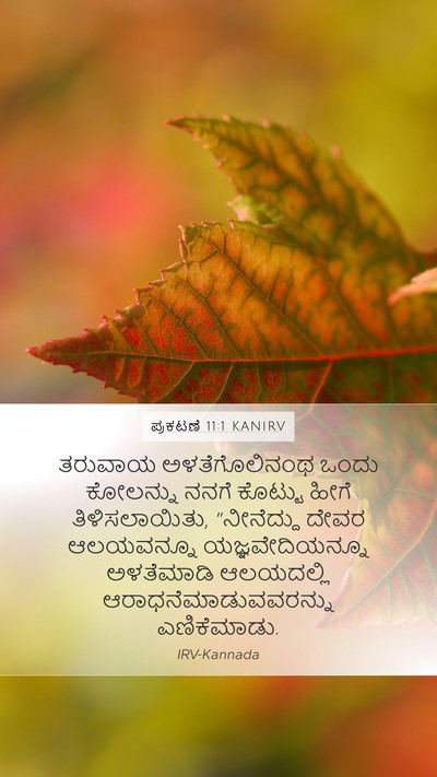 ಪ್ರಕಟಣೆ 11:1 KANIRV Bible Verse Image