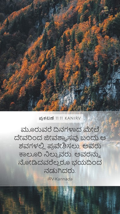 ಪ್ರಕಟಣೆ 11:11 KANIRV Bible Verse Image