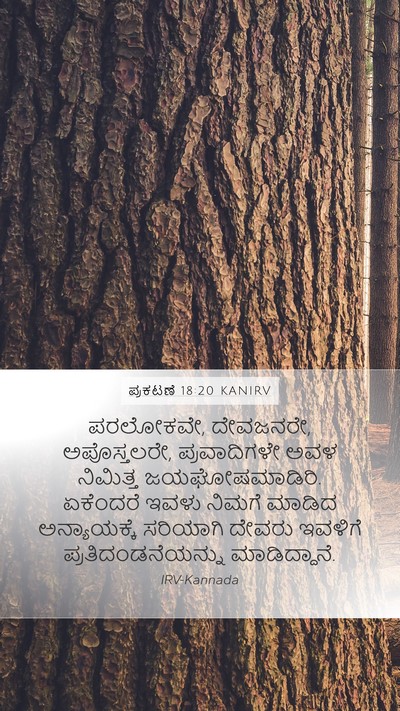 ಪ್ರಕಟಣೆ 18:20 KANIRV Bible Verse Image