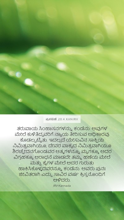 ಪ್ರಕಟಣೆ 20:4 KANIRV Bible Verse Image