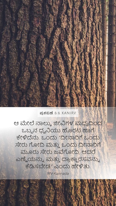 ಪ್ರಕಟಣೆ 6:6 KANIRV Bible Verse Image