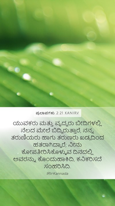 ಪ್ರಲಾಪಗಳು 2:21 KANIRV Bible Verse Image