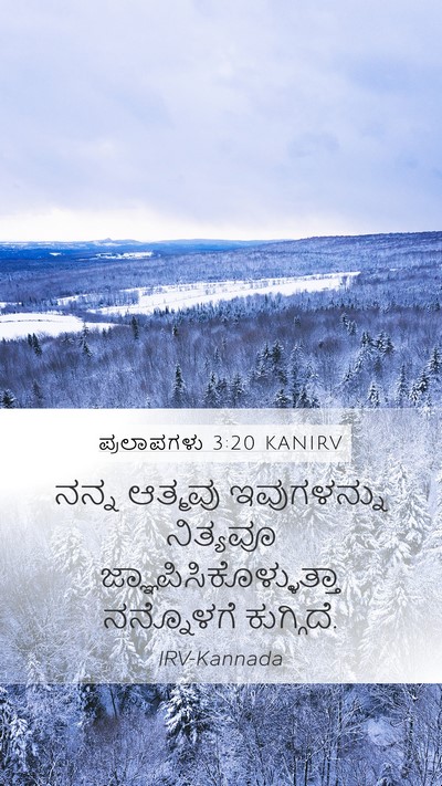 ಪ್ರಲಾಪಗಳು 3:20 KANIRV Bible Verse Image