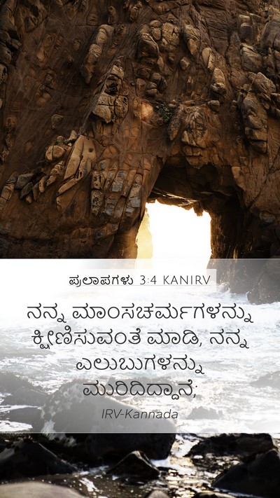 ಪ್ರಲಾಪಗಳು 3:4 KANIRV Bible Verse Image