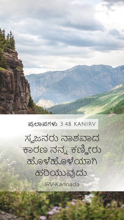 ಪ್ರಲಾಪಗಳು 3:48 KANIRV Bible Verse Image