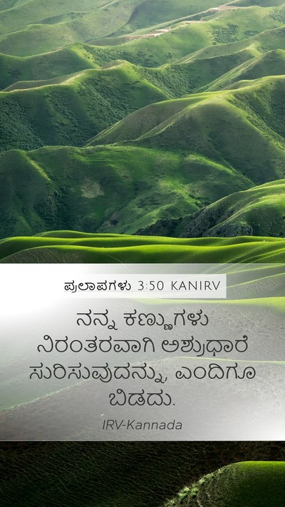 ಪ್ರಲಾಪಗಳು 3:50 KANIRV Bible Verse Image