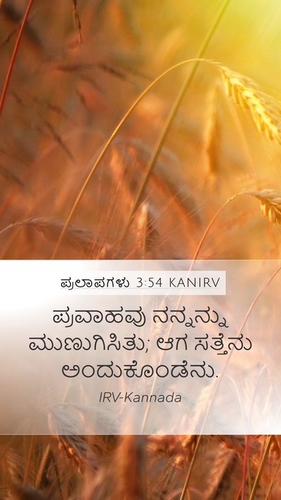 ಪ್ರಲಾಪಗಳು 3:54 KANIRV Bible Verse Image