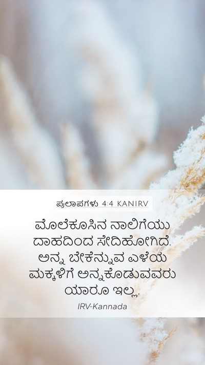 ಪ್ರಲಾಪಗಳು 4:4 KANIRV Bible Verse Image