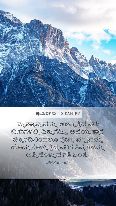 ಪ್ರಲಾಪಗಳು 4:5 KANIRV Bible Verse Image