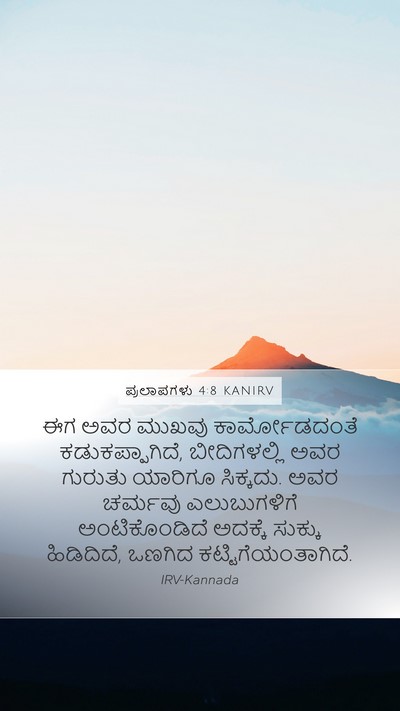 ಪ್ರಲಾಪಗಳು 4:8 KANIRV Bible Verse Image