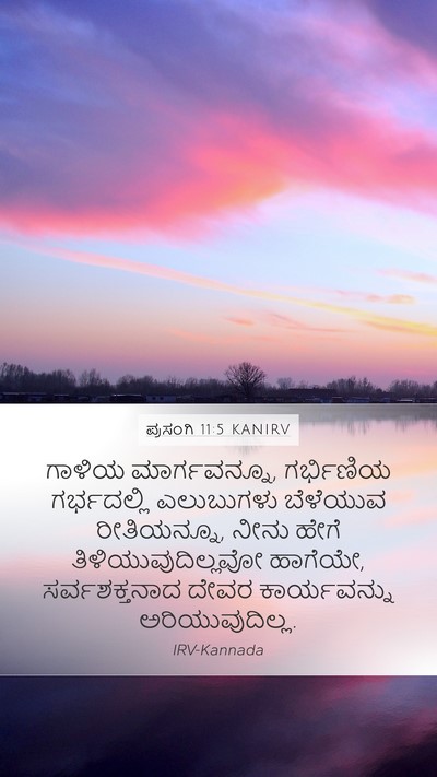 ಪ್ರಸಂಗಿ 11:5 KANIRV Bible Verse Image