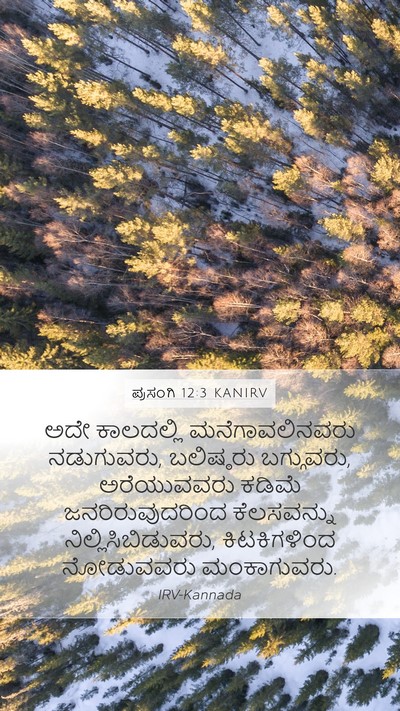 ಪ್ರಸಂಗಿ 12:3 KANIRV Bible Verse Image