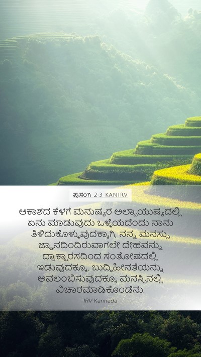 ಪ್ರಸಂಗಿ 2:3 KANIRV Bible Verse Image