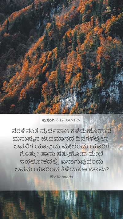 ಪ್ರಸಂಗಿ 6:12 KANIRV Bible Verse Image