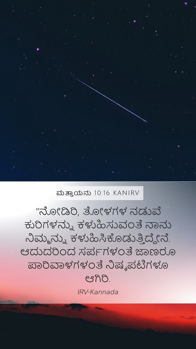ಮತ್ತಾಯನು 10:16 KANIRV Bible Verse Image