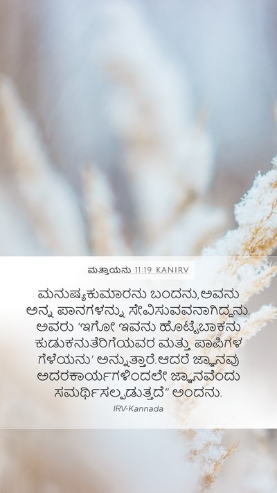 ಮತ್ತಾಯನು 11:19 KANIRV Bible Verse Image