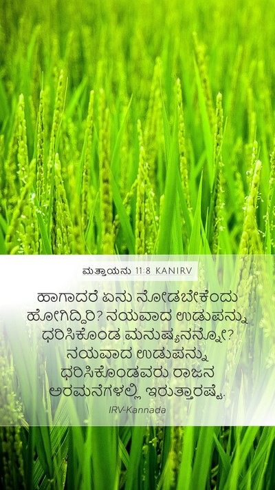 ಮತ್ತಾಯನು 11:8 KANIRV Mobile Phone Wallpaper - ಹಾಗಾದರೆ ಏನು - Mobile Bible Verse Wallpaper