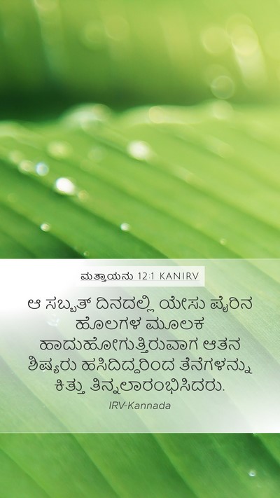 ಮತ್ತಾಯನು 12:1 KANIRV Bible Verse Image