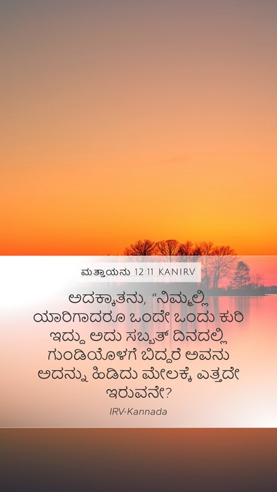 ಮತ್ತಾಯನು 12:11 KANIRV Bible Verse Image