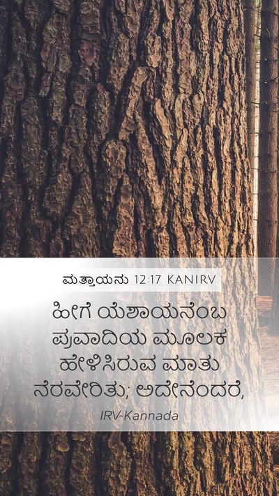 ಮತ್ತಾಯನು 12:17 KANIRV Bible Verse Image