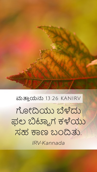 ಮತ್ತಾಯನು 13:26 KANIRV Mobile Phone Wallpaper - ಗೋದಿಯು ಬೆಳೆದು ಫಲ - Mobile Bible Verse Wallpaper