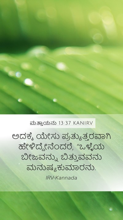 ಮತ್ತಾಯನು 13:37 KANIRV Bible Verse Image