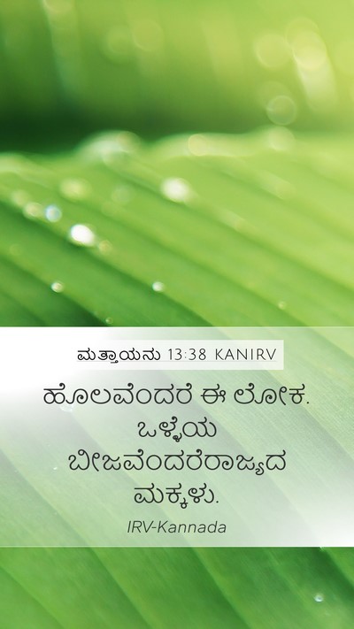 ಮತ್ತಾಯನು 13:38 KANIRV Bible Verse Image